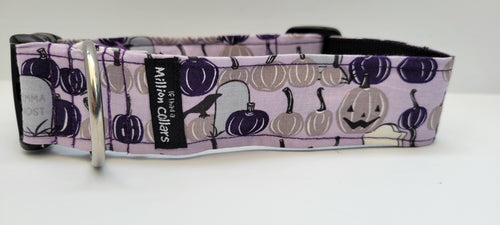 Spooky Pumpkin Patch