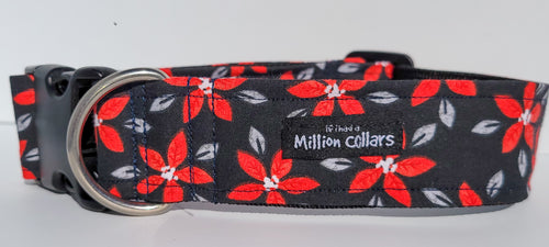 This collar is on Poinsettia