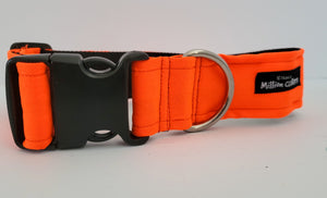 Hunters Orange Collar