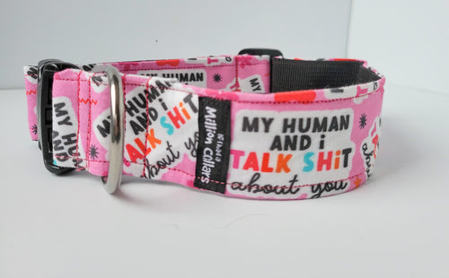 Too cool for Obedience school sassy collar