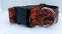 Pawsitively Nevermore Collar