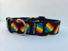 Paw-ride & Joy collar