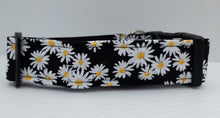 Lazy Daisy Collar