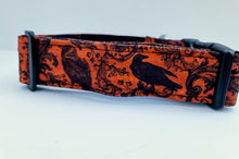Pawsitively Nevermore Collar