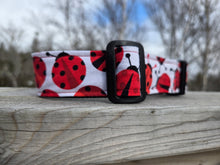 Ladybug Picnic