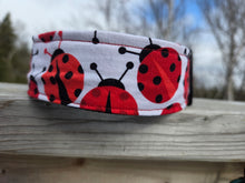 Ladybug Picnic