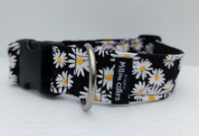 Lazy Daisy Collar