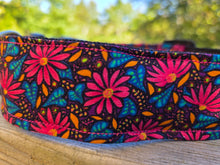 Coneflower collar