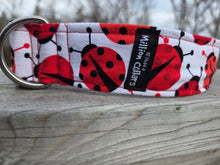 Ladybug Picnic