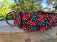 Coneflower collar