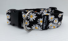 Lazy Daisy Collar
