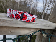 Ladybug Picnic