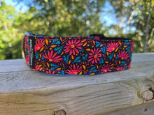 Coneflower collar