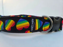 Paw-ride & Joy collar