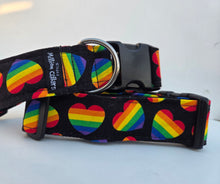 Paw-ride & Joy collar