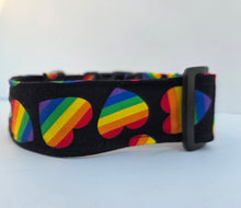 Paw-ride & Joy collar