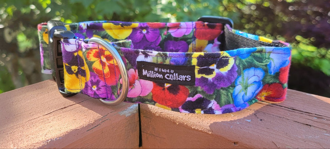 Multicoloured Pansies