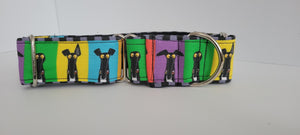 Colourful Greyhounds Martingales